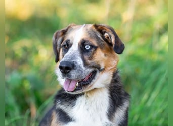 Tyson will nochmal seine ganze Liebe zeigen