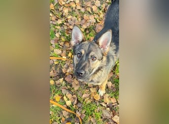 Charmante Betty sucht Familie