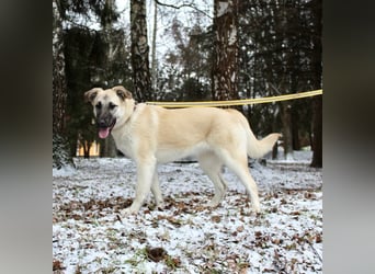 Gibst du Snezha einen warmen Platz?!