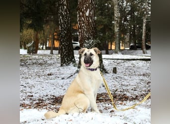 Gibst du Snezha einen warmen Platz?!