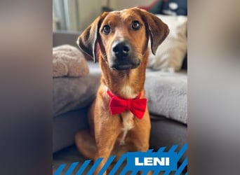 Leni