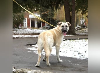 Gibst du Snezha einen warmen Platz?!