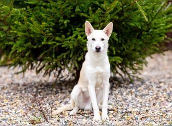 Wer nimmt Mickey in sein Leben..?!