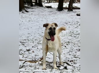 Gibst du Snezha einen warmen Platz?!