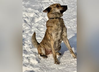 Suzy liebt alles und jeden und bezaubert alle Menschen