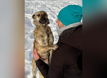 Suzy liebt alles und jeden und bezaubert alle Menschen