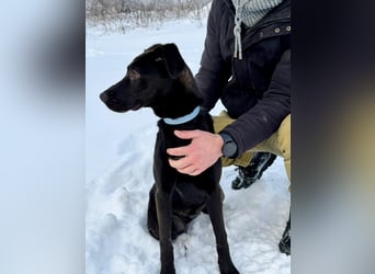 Junges Energiebündel Cinka sich Menschen, die ihr Beschäftigung. bieten !