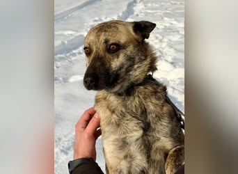 Suzy liebt alles und jeden und bezaubert alle Menschen