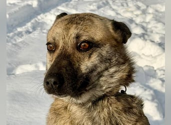 Suzy liebt alles und jeden und bezaubert alle Menschen