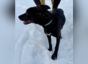 Junges Energiebündel Cinka sich Menschen, die ihr Beschäftigung. bieten !