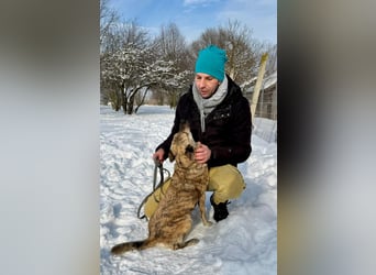 Suzy liebt alles und jeden und bezaubert alle Menschen