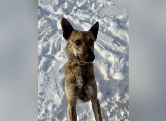 Suzy liebt alles und jeden und bezaubert alle Menschen