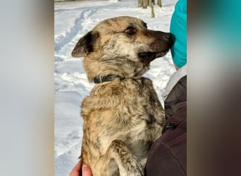 Suzy liebt alles und jeden und bezaubert alle Menschen