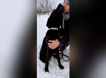 Junges Energiebündel Cinka sich Menschen, die ihr Beschäftigung. bieten !