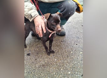 Der liebe Finn ist voller Lebensfreude !