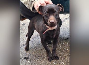 Der liebe Finn ist voller Lebensfreude !