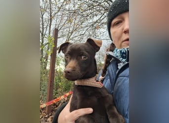 Der liebe Finn ist voller Lebensfreude !