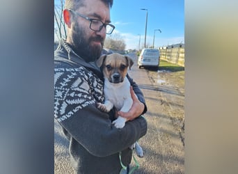 Matti ist sehr lieb, verspielt und menschenbezogen !