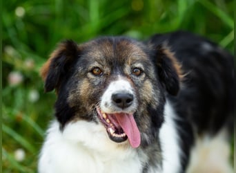 Dringend ORT DresdenMühlenbecker Land