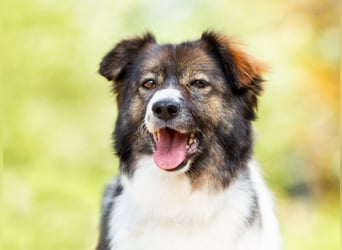 Dringend ORT DresdenMühlenbecker Land