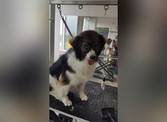 Dringend ORT DresdenMühlenbecker Land