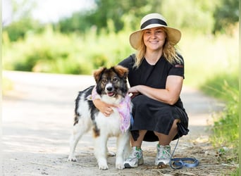Dringend ORT DresdenMühlenbecker Land