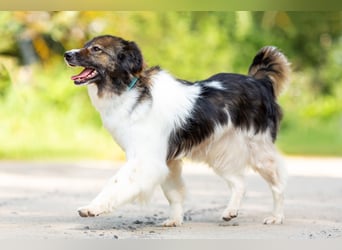 Dringend ORT DresdenMühlenbecker Land