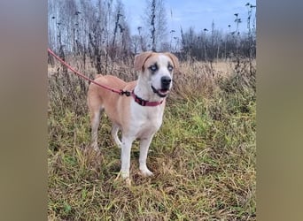 Jessie sucht ein aktives Leben