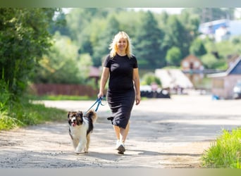 Dringend ORT DresdenMühlenbecker Land