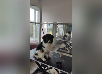 Dringend ORT DresdenMühlenbecker Land