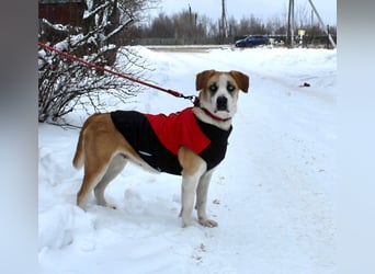 Jessie sucht ein aktives Leben