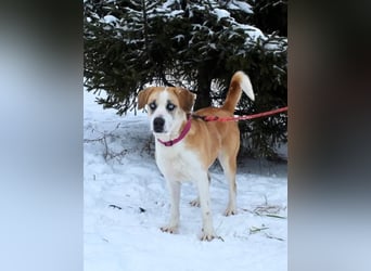 Jessie sucht ein aktives Leben