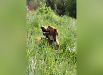 Tamam - ein sportlicher Gentlemen