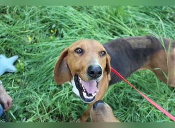 Tamam - ein sportlicher Gentlemen