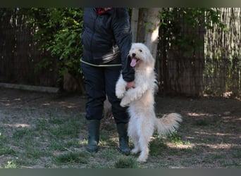 Sofie unser Sonnenschein
