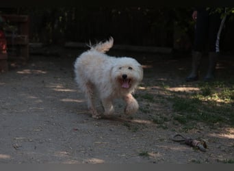 Sofie unser Sonnenschein