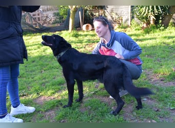 freundliche Zoe sucht ihr Zuhause für immer
