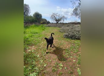 süßer Knut sucht sein Zuhause für immer