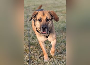 liebster Teodoro auf Pflegestelle in 72124 Pliezhausen sucht sein Zuhause