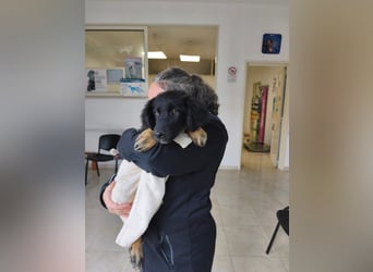 süßer Knut sucht sein Zuhause für immer