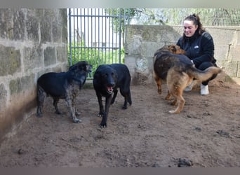 liebe Michaela wünscht sich ihr Zuhause