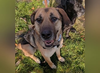 liebster Teodoro auf Pflegestelle in 72124 Pliezhausen sucht sein Zuhause