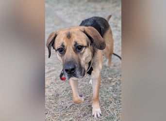 liebster Teodoro auf Pflegestelle in 72124 Pliezhausen sucht sein Zuhause