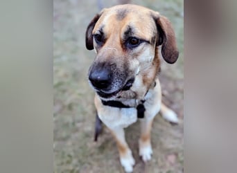 liebster Teodoro auf Pflegestelle in 72124 Pliezhausen sucht sein Zuhause