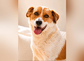 Lena - hübsche Lady sucht dich!