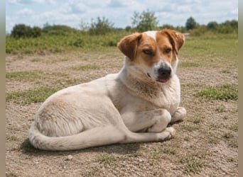Lena - hübsche Lady sucht dich!