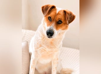 Lena - hübsche Lady sucht dich!