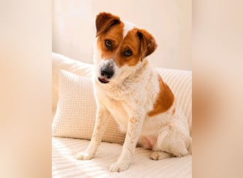 Lena - hübsche Lady sucht dich!