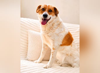 Lena - hübsche Lady sucht dich!
