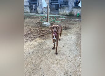 Zaito